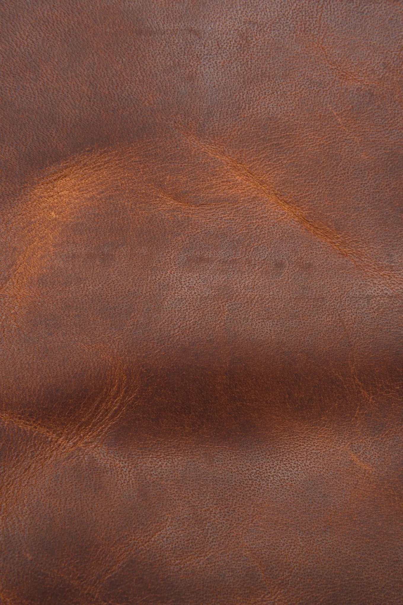 Logan Messenger